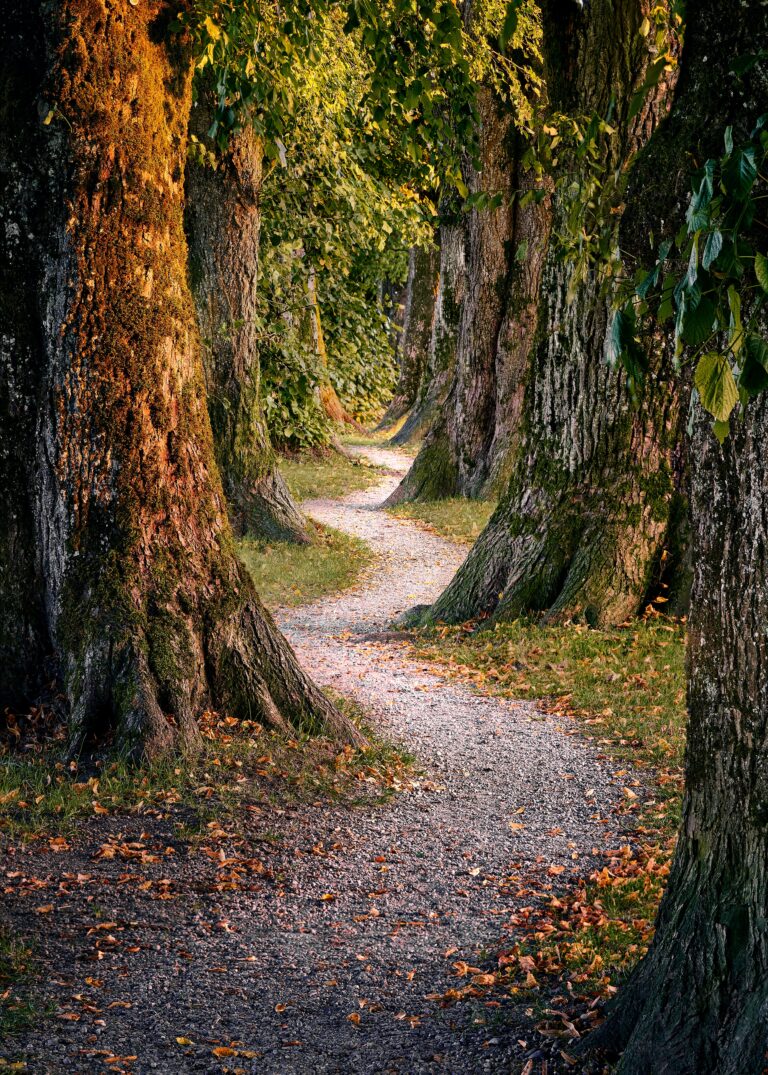 Life is a Journey: A blog about life and the struggles it has to offer.