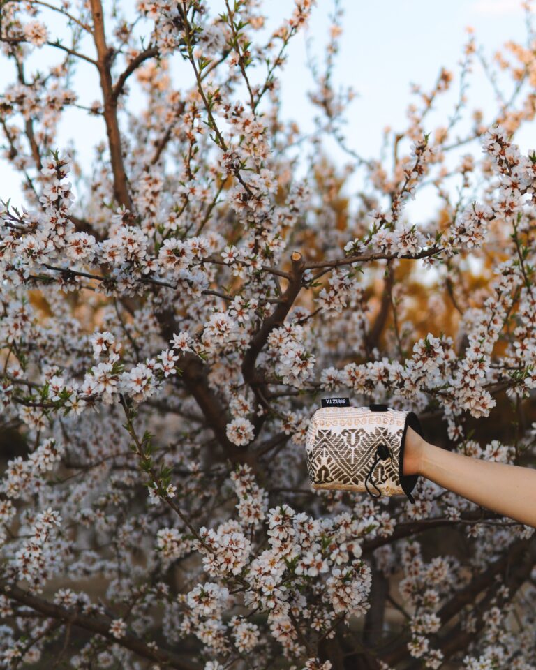 10 Ways To Get Your Wallet Ready For Spring.