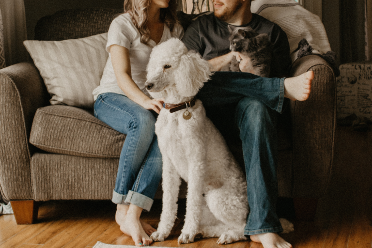Exploring the Bond Between Humans and Animals.
