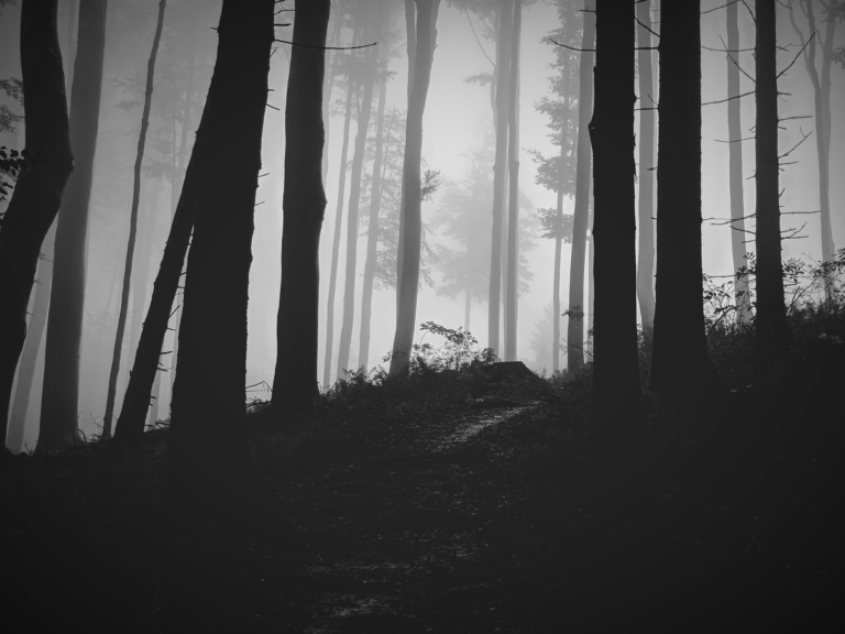 Embracing Your Dark Side.